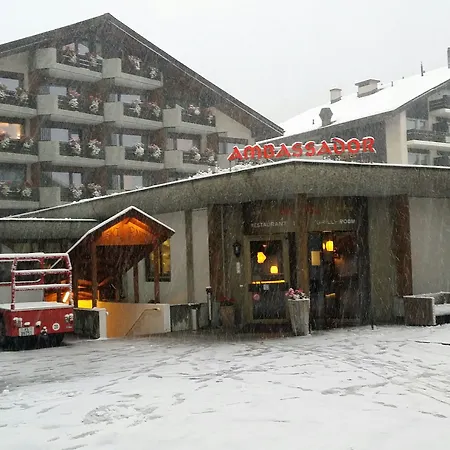 酒店 采尔马特国宾酒店 4*