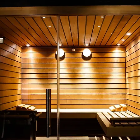 酒店 采尔马特国宾酒店 4*