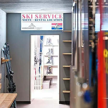 酒店 采尔马特国宾酒店 4*