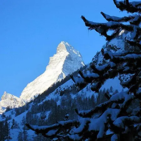 Ambassador Zermatt