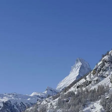 Ambassador Zermatt