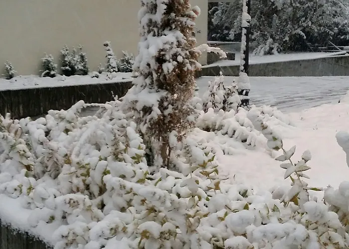 앰버서더 호텔 체르마트